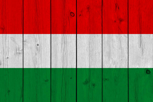 bandera de hungría pintada en madera vieja tablón - hungary flag banner dirty fotografías e imágenes de stock