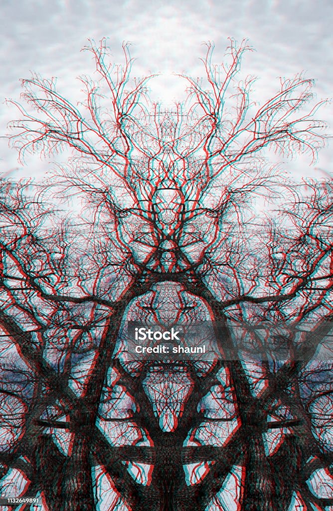 Abstract Branch Symmetry Overlaid tree branch composite image. Abstract Stock Photo