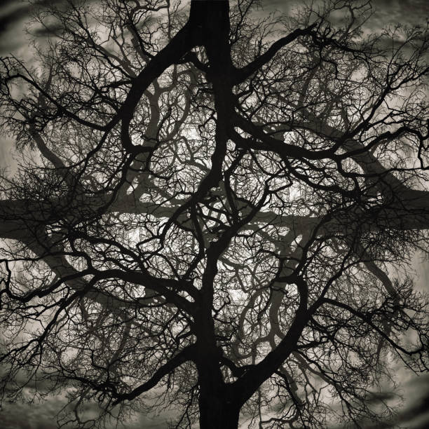 istock Abstract Branch Symmetry 1132652493