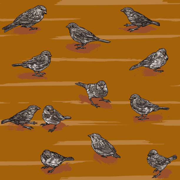 Rust Color Bird Large 50+ Rust Colored Bird Stock Illustrations, Royalty-Free Vector Graphics ...
