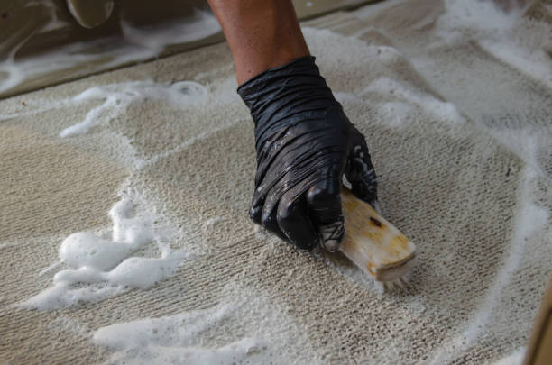 istock Wash the car carpet 1132660324