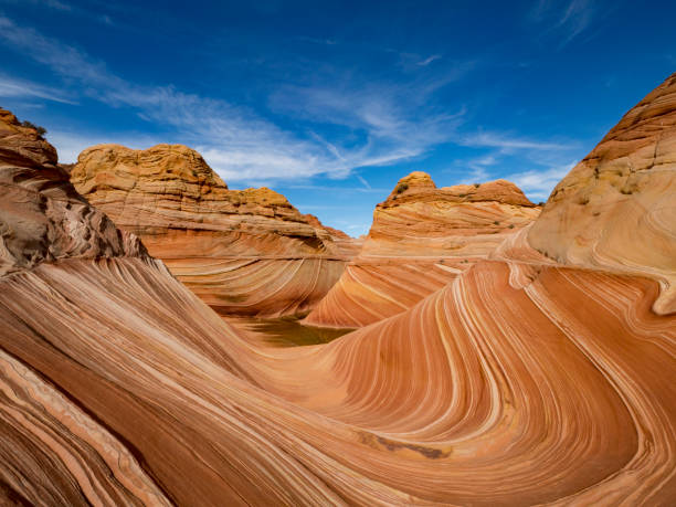 The Wave sandstone formation in Coyote Buttes, Arizona. The Wave sandstone formation in Coyote Buttes, Arizona. the wave arizona stock pictures, royalty-free photos & images