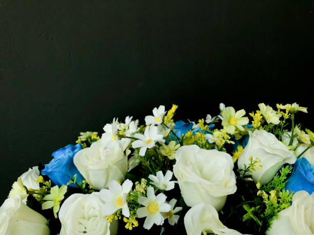 istock A bouquet of white roses on a dark wall 1132661886