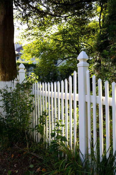 recinto di picchetto bianco al sole - picket fence grass gardens nature foto e immagini stock