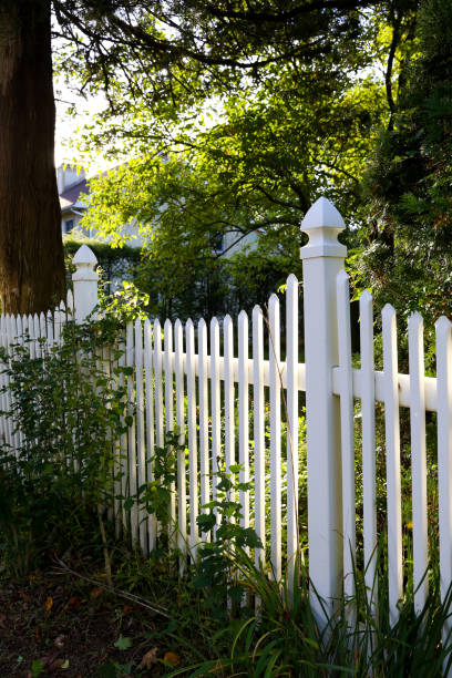 istock White Picket Fence in the Sun 1132662472