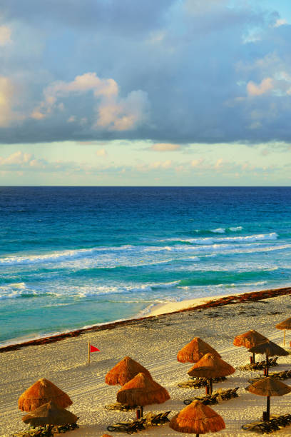 istock Beautiful beach at Cancun Mexico 1132667944