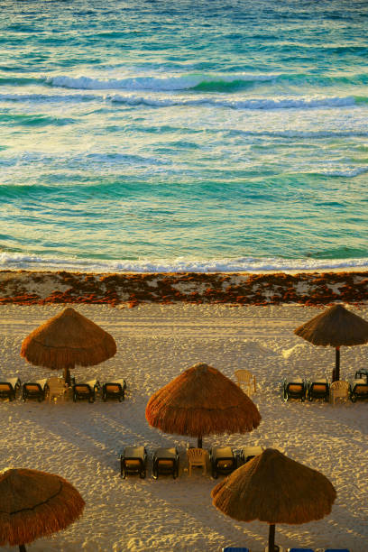istock Beautiful beach at Cancun Mexico 1132668599