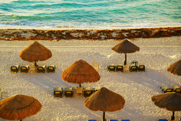 istock Beautiful beach at Cancun Mexico 1132668685