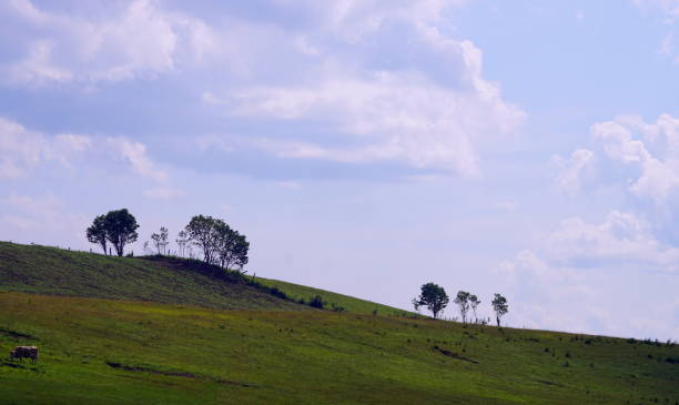 istock Rural Gaspesie Quebec summer landscape 1132671711