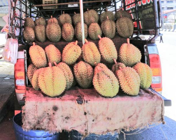 istock Durian Fruit truck - Tropical fruit in Thailand 1132673343
