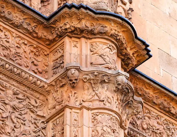 Famous hidden frog on the skull at the University of Salamanca, Spain
