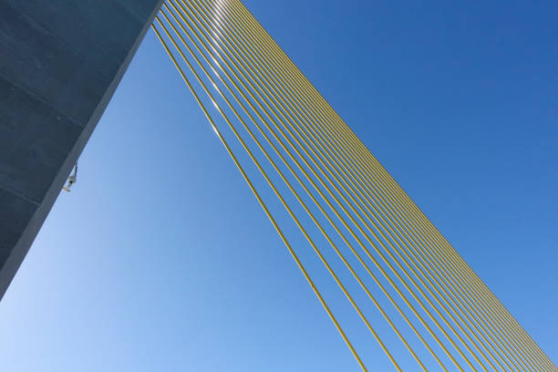 istock Tampa Bay, Florida, USA 1132674273
