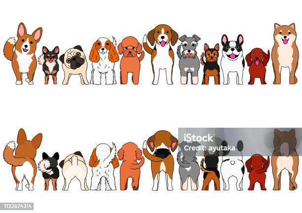 Dogs Breed Border Set Stock Illustration - Download Image Now - Dog, Rear View, Border - Frame