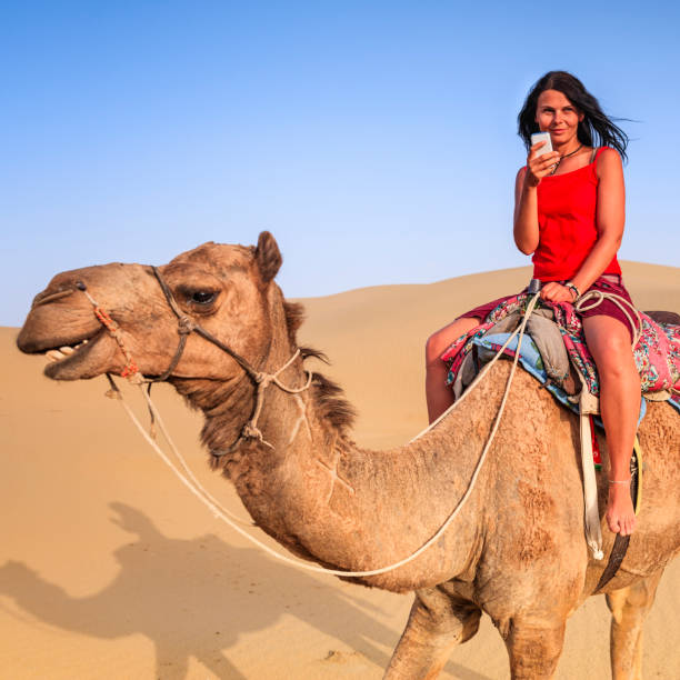 istock Young female tourist using mobile on a camel, Rajasthan, India 1132676125