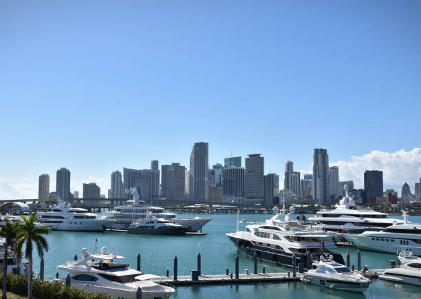 istock Panoramic view of Miami skyscrapers 1132676993