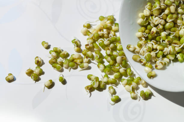 ヘルシーグリーン緑もやし、緑豆 - soybean bean drenched textured ストックフォトと画像