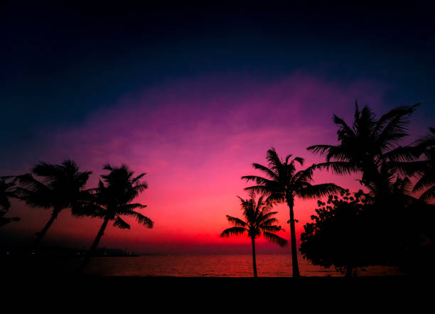 Twilight on amazing ocean tropical beach. Summer background