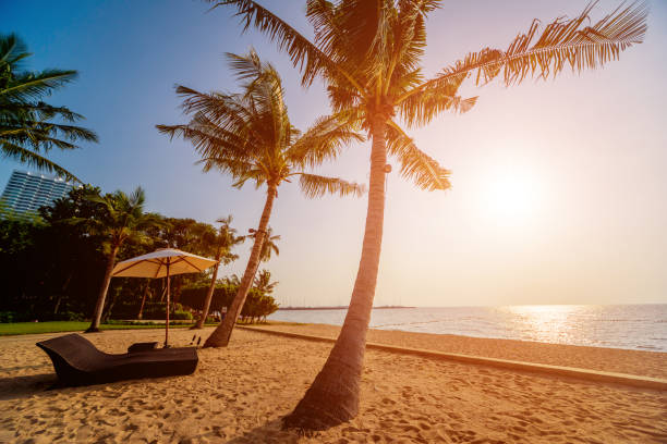 istock Beautiful tropical beach with palm trees. Sunrises and sunsets. Ocean. 1132677339