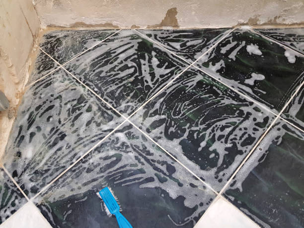 istock Repair - limescale and brush with soap 1132678305