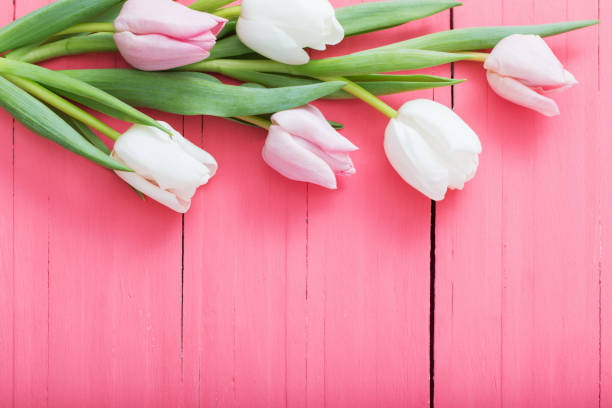istock tulips flowers on pink wooden background 1132680139