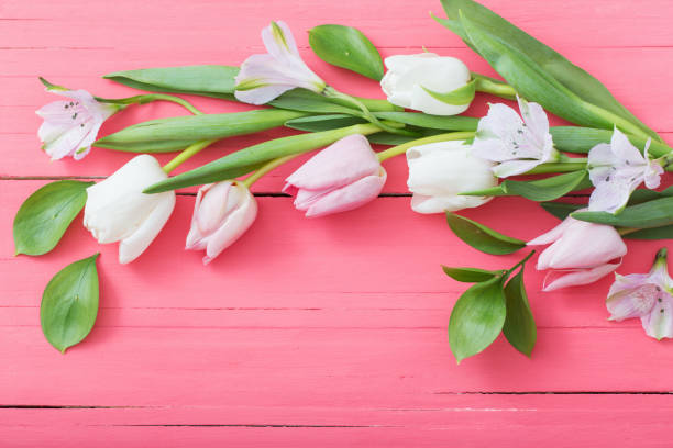 istock tulips flowers on pink wooden background 1132680147