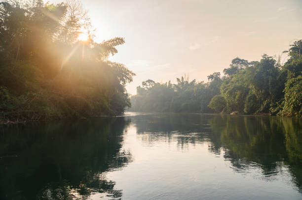 sailing boat sightseeing of tropical jungle in river kwai - balsa tree imagens e fotografias de stock