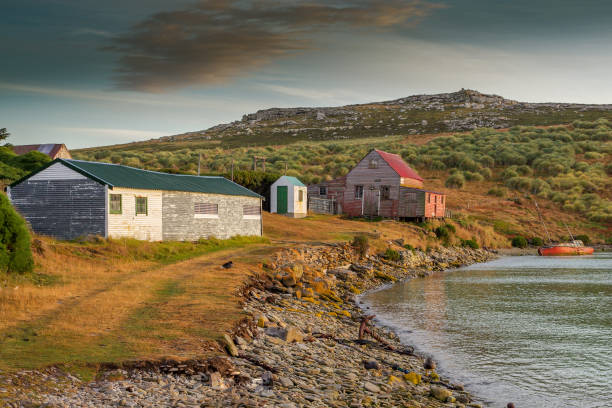 edifici di una fattoria remota sulla costa delle isole falkland - falkland islands foto e immagini stock