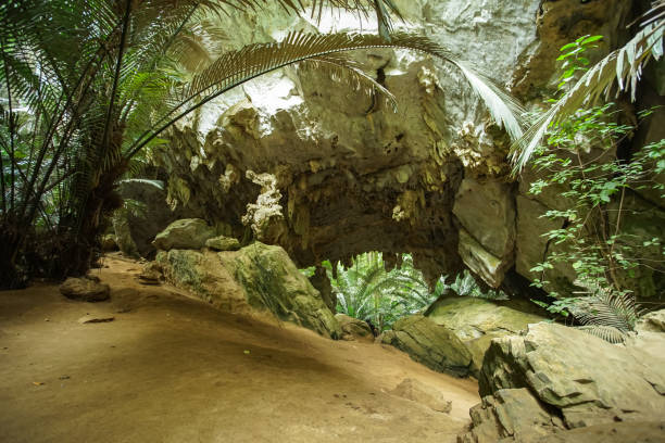 istock Ancient forest Hup Pa Tat in Uthai Thani, Thailand. 1132688765