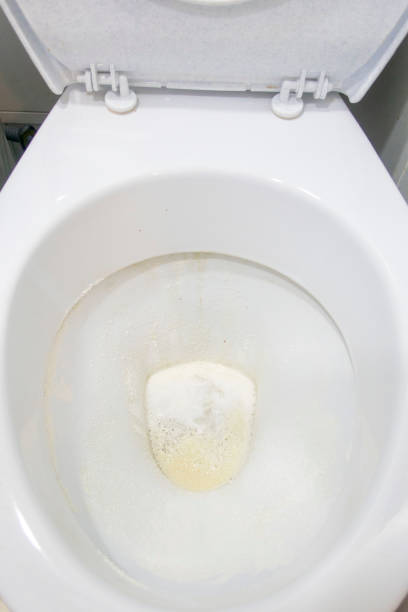 istock Toilet bowl cleaning 1132694550
