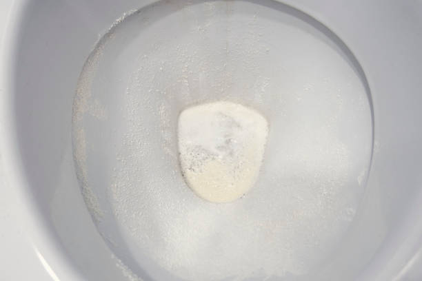 istock Toilet bowl cleaning 1132694551