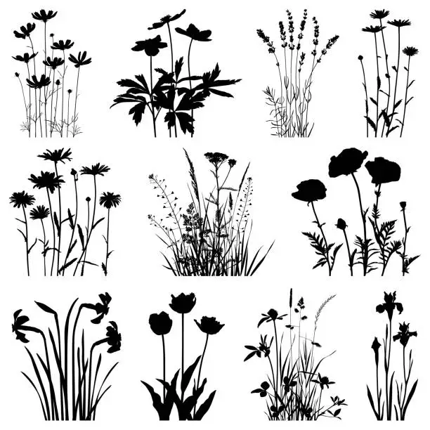 Vector illustration of Plants silhouettes, vector images