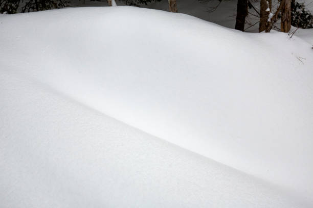 Ivory mounds and basins of drifted snow with subtle textures in a northern Maine winter.