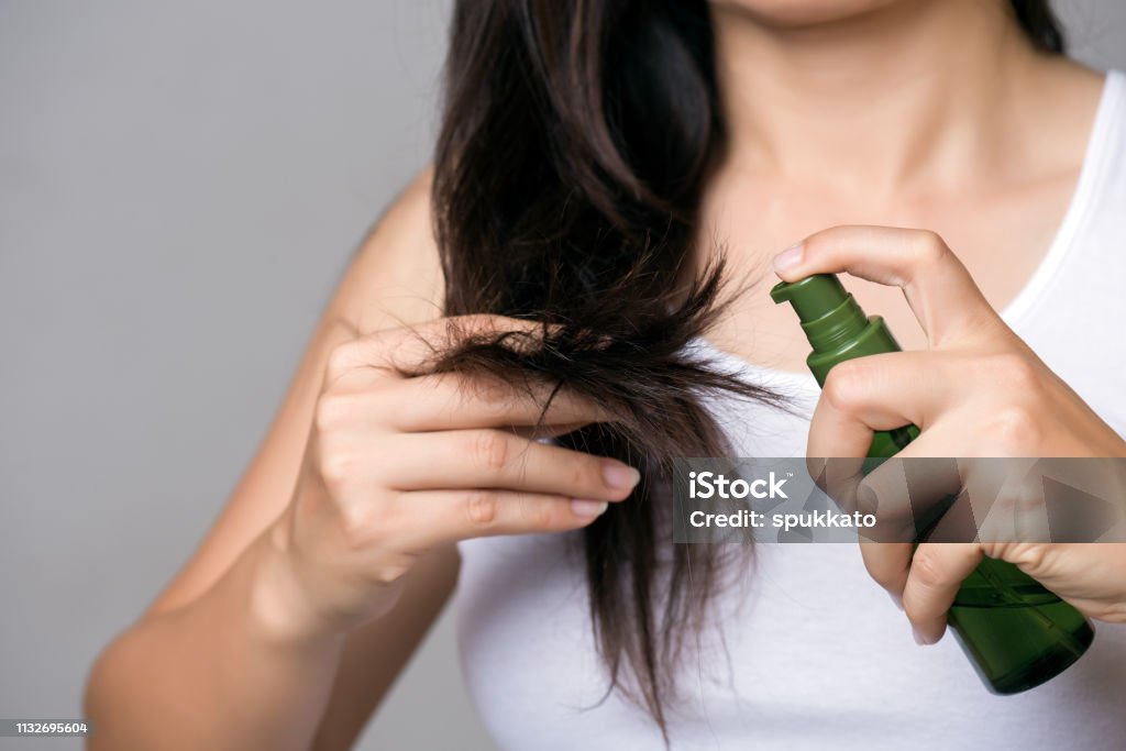 Concept sain. Main de femme retenant les cheveux longs endommagés avec le traitement de cheveux d'huile. - Photo de Cheveux ou Poils libre de droits