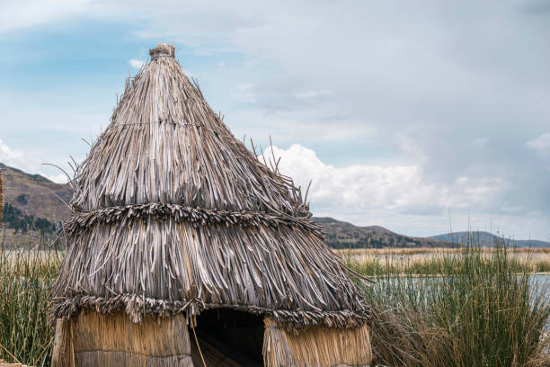 istock cone reed roof hut 1132695793