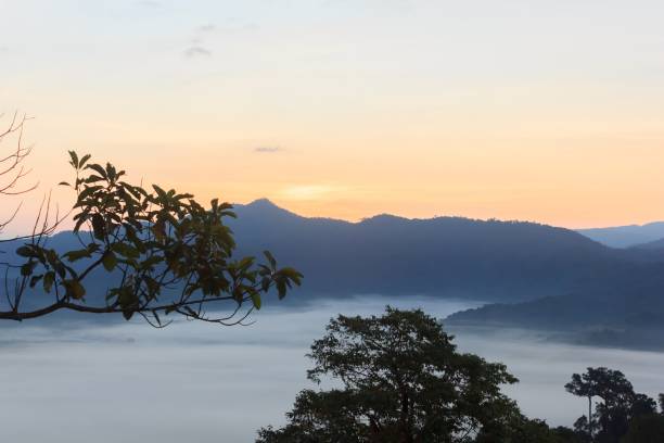 istock Clouds and mist covered at the top of the mountain. 1132698624