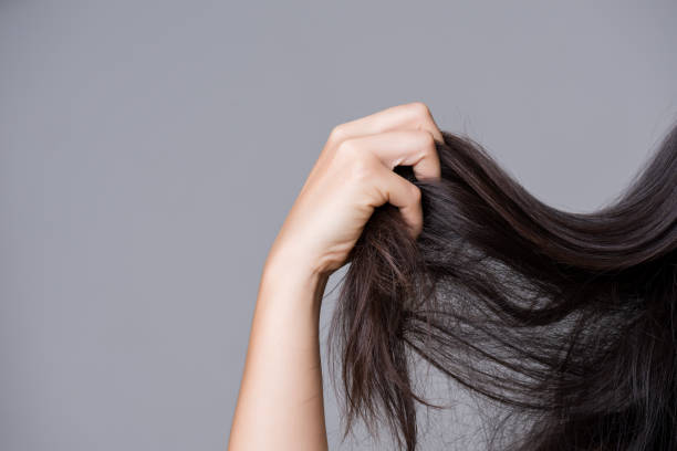 concept sain. main de femme retenant les cheveux longs endommagés. - cheveux dans le vent photos et images de collection