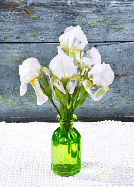 istock spring bouquet iris flowers in a glass vase, 1132702106