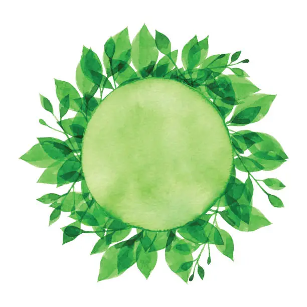 Vector illustration of Watercolor Green Branch And Circle