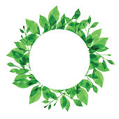 istock Watercolor Green Branch Frame With White Circle 1132702211