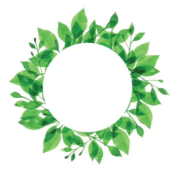 Vector illustration of Watercolor Green Branch Frame With White Circle