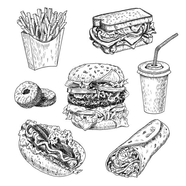 illustrations, cliparts, dessins animés et icônes de illustration vectorielle dessiné à la main de nourriture rapide. hamburger, français frites, sandwich, hot-dog, beignes, burrito et cola style gravé, croquis d'isolement sur fond blanc. - hamburger refreshment hot dog bun