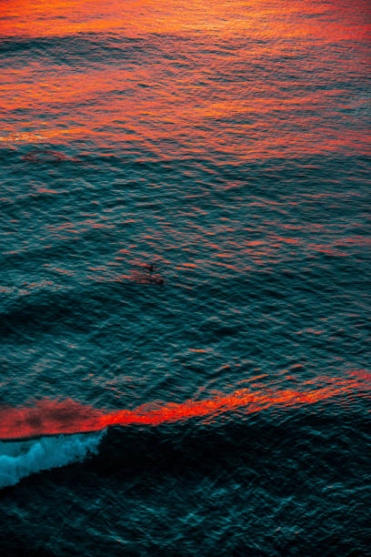 Beautiful photo of powerful ocean waves at amazing sunset on  tropical Bali beach