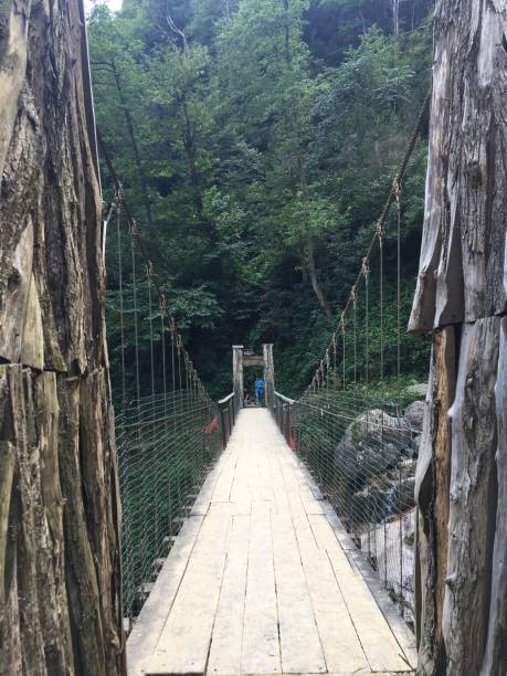 istock wooden bridge green nature Artvin 1132704092