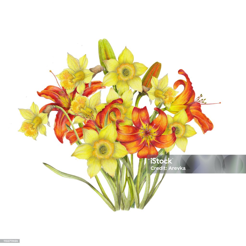 Hand drawn bouquet of  spring flowers Art stock illustration