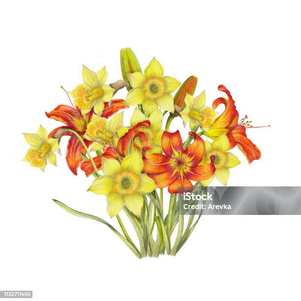 Hand Drawn Bouquet Of Spring Flowers Stock Illustration - Download Image Now - Art, Art And Craft, Beauty
