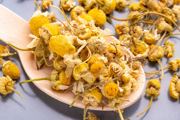 乾燥したカモミールの花を木製のスプーンでグレーのプレートに。 - chamomile german chamomile chamomile plant smelling ストックフォトと画像