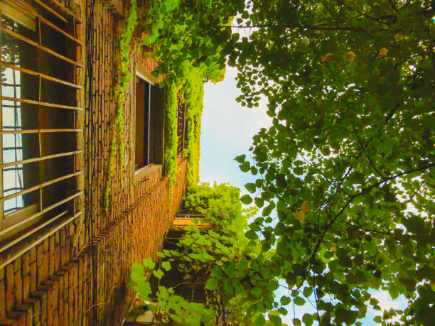 istock Tall old brick building next to green trees against the sky. Building partially leafy 1132713433