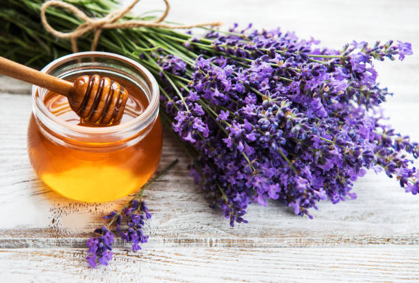 istock Jar with honey and fresh lavender 1132713463