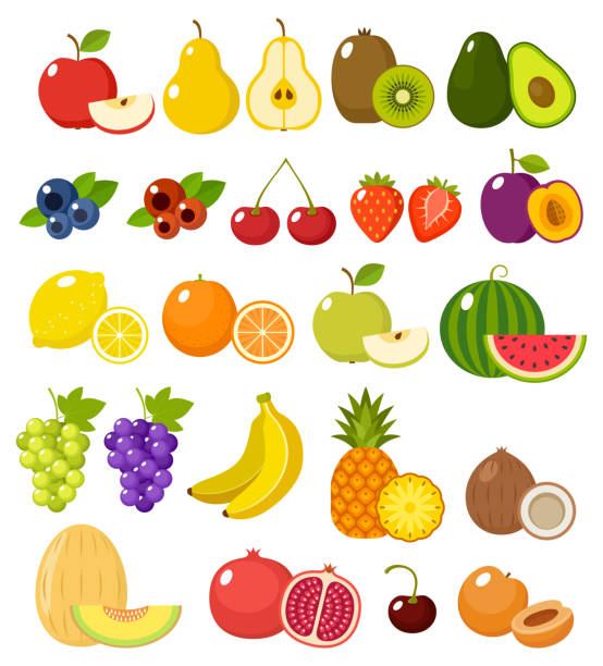 ilustraciones, imágenes clip art, dibujos animados e iconos de stock de fruta sobre fondo blanco aislado - frutas tropicales