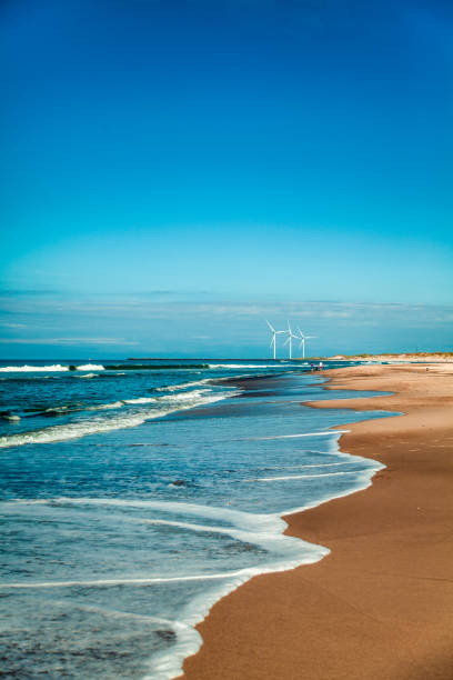 Beautiful beach with wind turbines on the horizont
